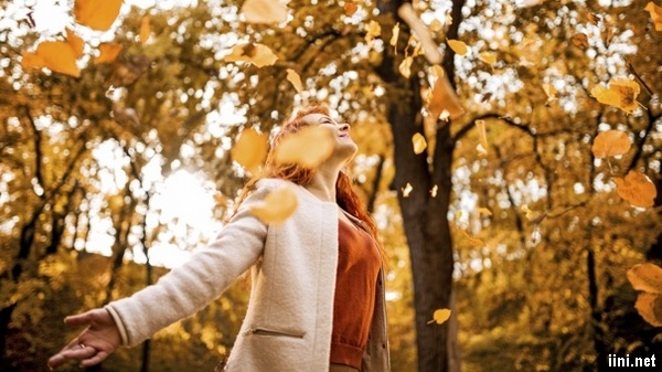 ảnh cô gái và những chiếc lá mùa thu rơi rụng