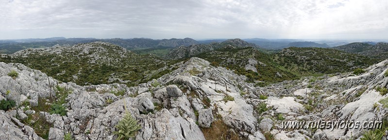 Nueve picos de la Sierra del Endrinal