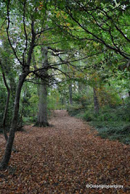 Killiney Hill Park