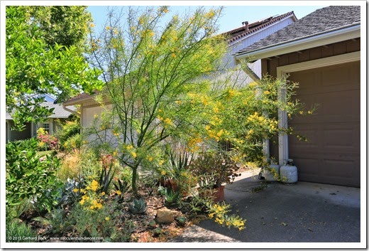 Palo Verde Update