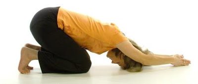 7 Bài tập Yoga dành cho người bị gai cột sống