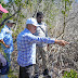 Biólogos y técnicos de Medio Ambiente acompañan a fiscales, académicos y ambientalistas en evaluación de manglar afectado en Las Terrenas