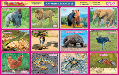 CHIKIPEDIA y CHIKILINES - LÁMINAS ESCOLARES: Nº 350: ANIMALES VERTEBRADOS
