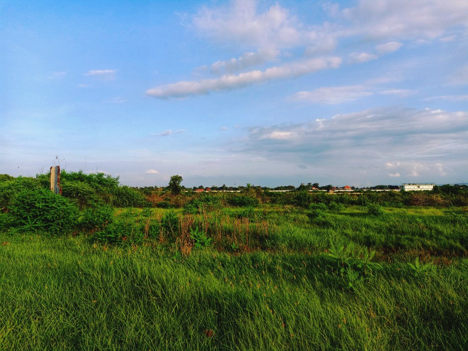 Pantai Cemara Situbondo