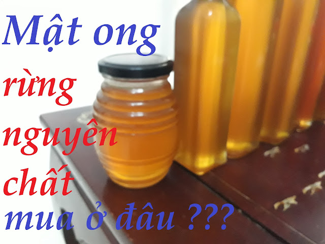 Mật Ong Rừng Nguyên Chất