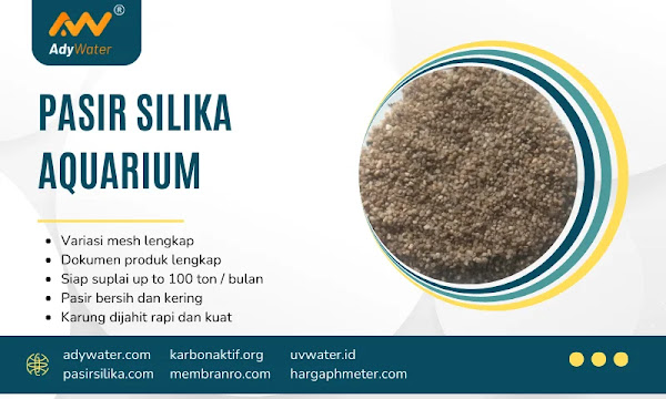 Harga Pasir Silika Per Ton, Jual Pasir Silika, Apa Itu Pasir Silika, Harga Pasir Silika Per Karung, Harga Pasir Silika Per Kg, Pasir Silika Coklat, Harga Pasir Silika Aquarium, Harga Pasir Silika Aquascape, Harga Pasir Silika Bandung, Harga Pasir Silika Coklat, Harga Pasir Silika Dan Karbon Aktif, Harga Pasir Silika Halus, Harga Pasir Silika Hitam, Harga Pasir Silika Kasar, Harga Pasir Silika Lampung, Harga Pasir Silika Per Kilo, Harga Pasir Silika Per Kubik, Harga Pasir Silika Per Ton 2019, Harga Pasir Silika Putih, Harga Pasir Silika Surabaya, Harga Pasir Silika Tuban, Harga Pasir Silika Untuk Aquarium, Harga Pasir Silika Untuk Aquascape, Harga Pasir Silika Untuk Sandblasting