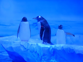 Visite de l'aquarium de Londres