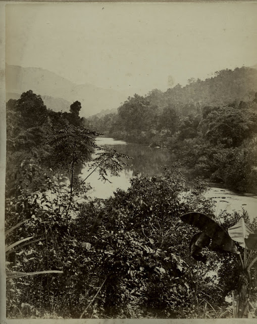 c.1890%2527s+PHOTO+INDIA+CEYLON+RIVER+THROUGH+TREES