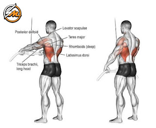 The 8 Best Lat Exercises for Strength and Muscle Growth