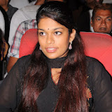 Allu Ramalingaiah Award Function Photos (13)
