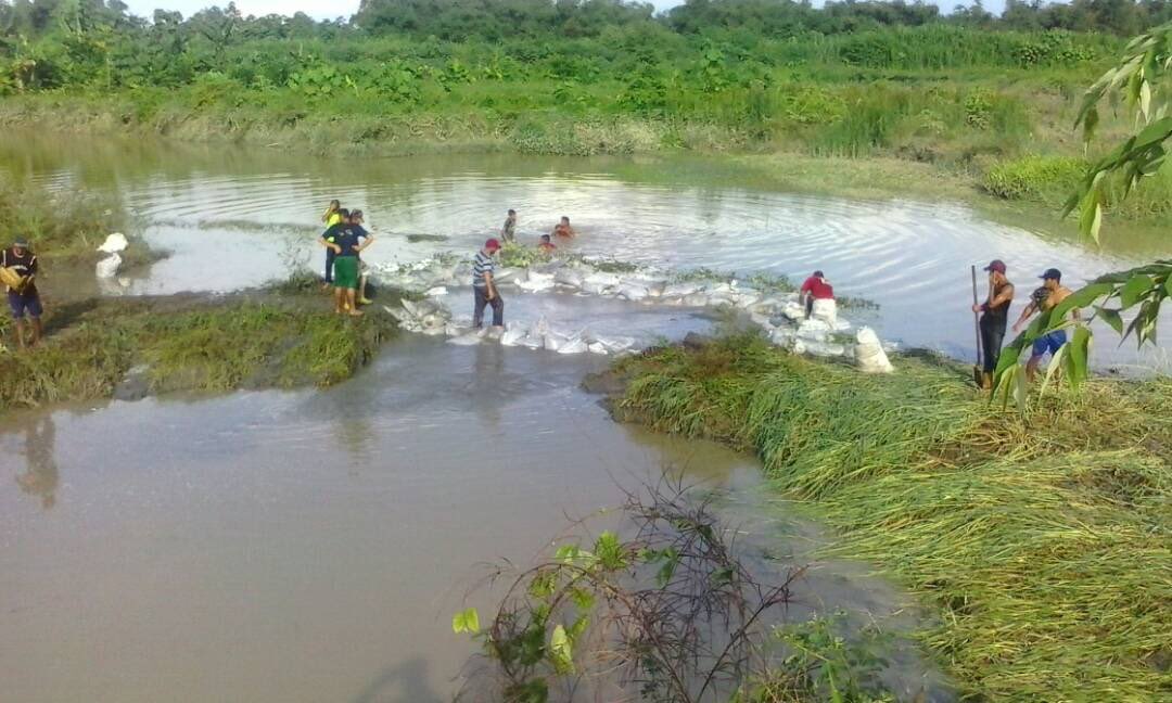 25 familias damnificadas en El Dique por crecida del río Chama