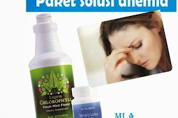 Jual Liquid Chlorophyll (klorofil) Smart Detox Synergy