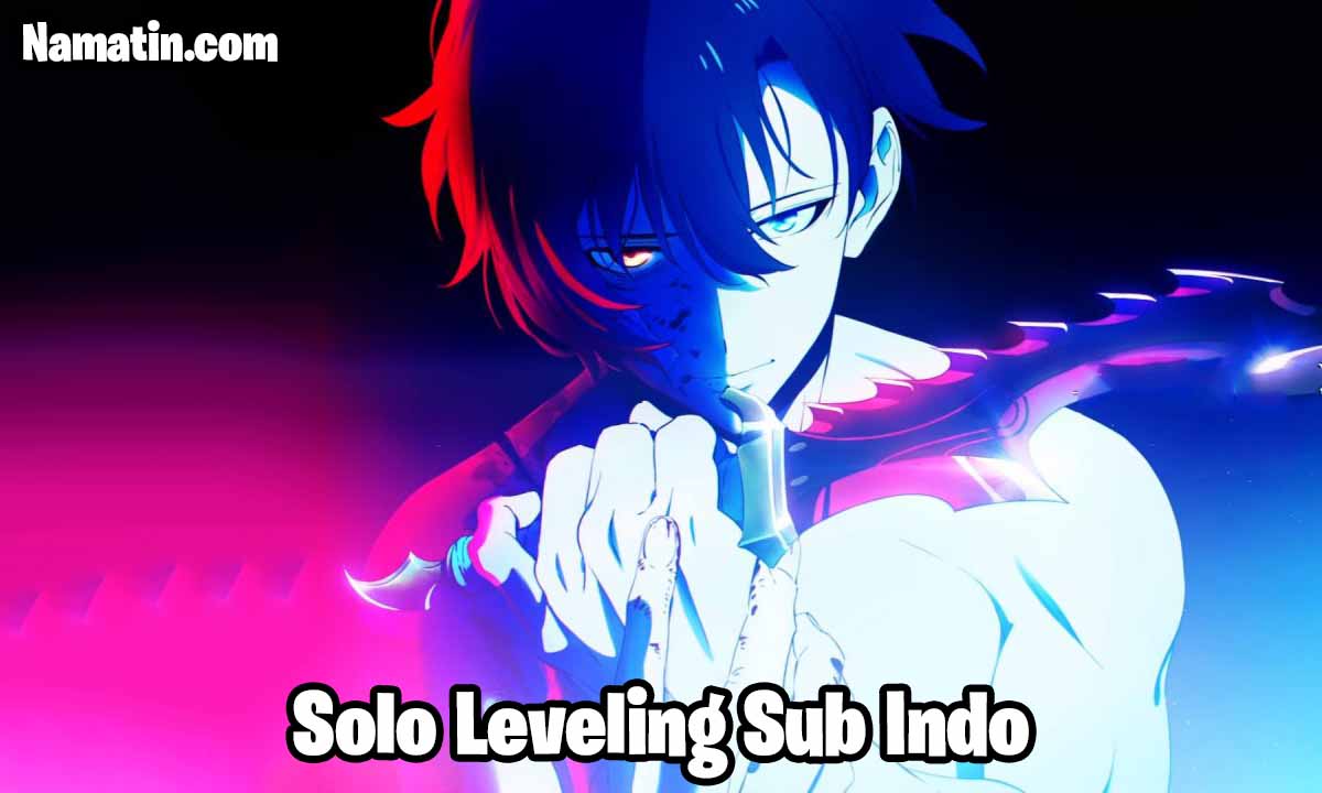 solo leveling sub indo