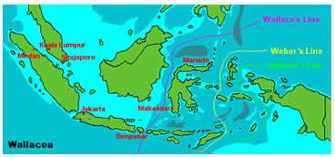 Keanekaragaman Hayati Di Indonesia
