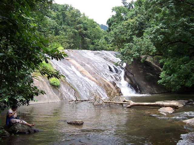 Dhoni Reserve Forest