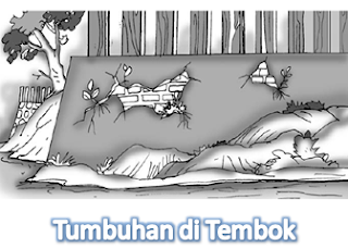  Materi pelajaran berikut ini membahas ihwal bagaimana Proses Pembentukan Tanah Karena Pelapukan