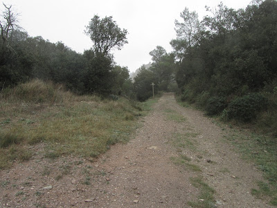 Santes Creus a Prenafeta - Camí de Sant Jaume de Compostela; camí al Coll de Prenafeta