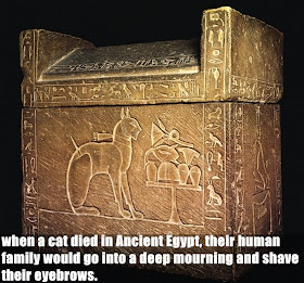 Surprising facts