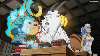 ワンピースアニメ 1020話 チョッパー ミヤギ | ONE PIECE Episode 1020