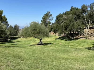 grassy expanse at Bubbling Well Pet Memorial Park in Napa, California