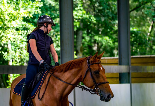 a31.1_Qu'est-ce_que_l’équitation_DailyPetBlog