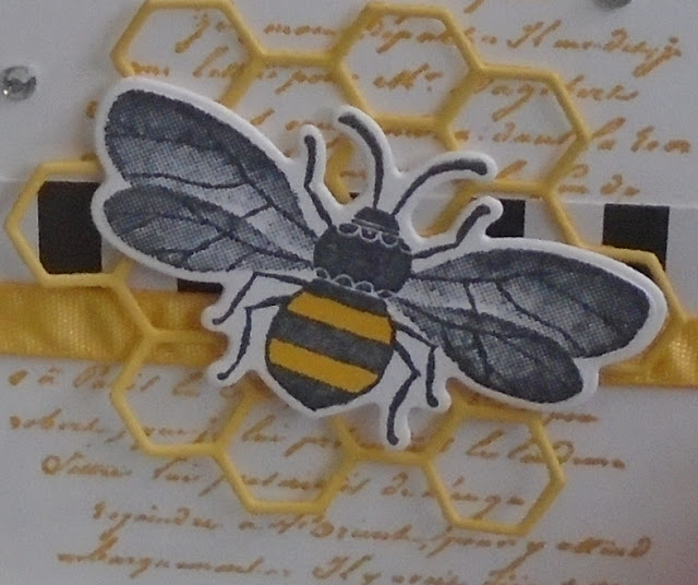 Craftyduckydoodah!, Honey Bee, Hopping Around The World, Spring / Summer 2020, Supplies available 24/7 from my online store, Susan Simpson UK Independent Stampin' Up! Demonstrator