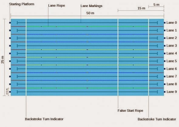 Ukuran Kolam Renang Standart Internasional