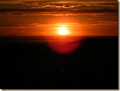 DSCF6556