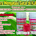 Harga obat gatal selangkangan