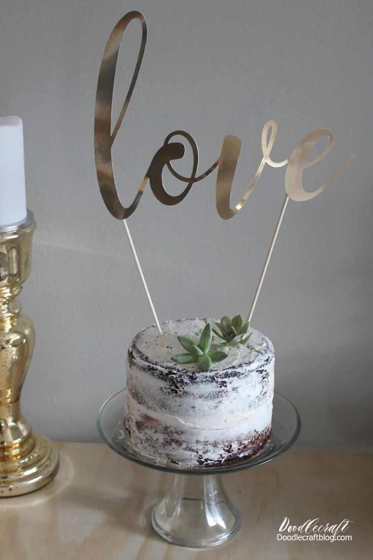 Naked Cake Tutorial Succulents & Cake Topper!