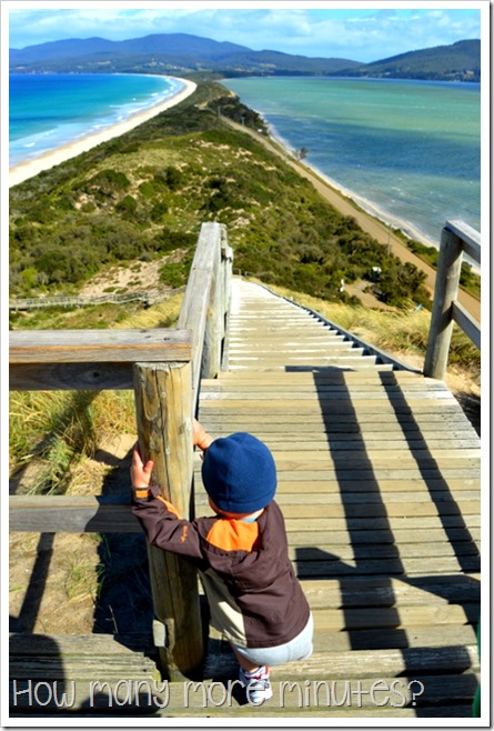 Bruny Island: The Neck~How Many More Minutes?