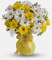 bloomex-yellow-white-daisy