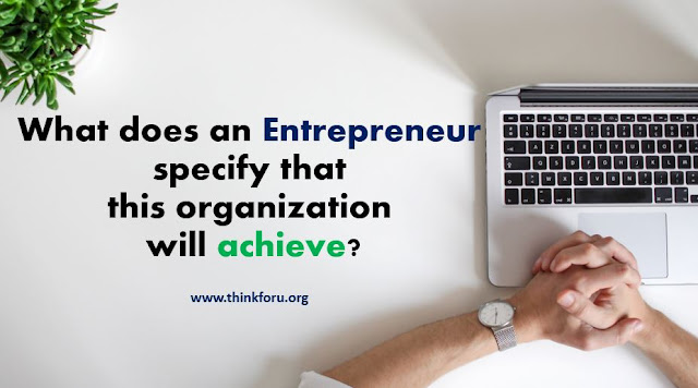 Cover Image of What does an entrepreneur specify that this organization will achieve