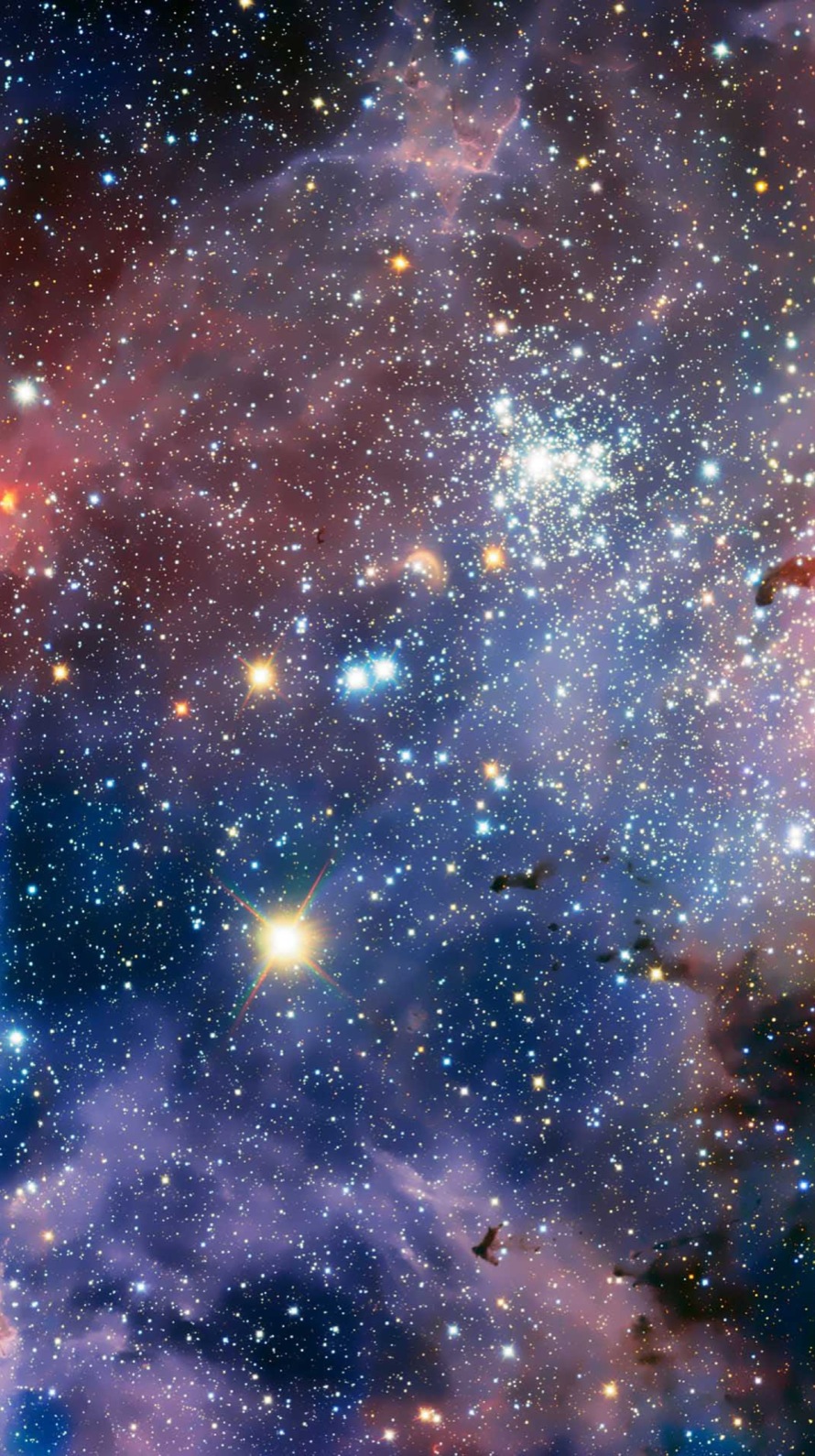 元の壁紙 宇宙 高 画質 すべての美しい花の画像