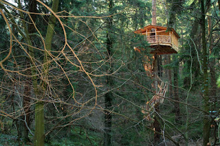 casa en arbol