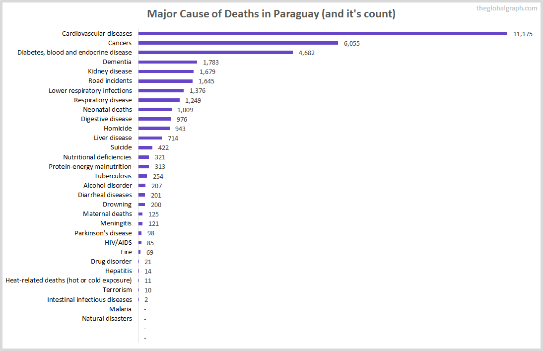 Major Cause of Deaths in Paraguay (and it's count)