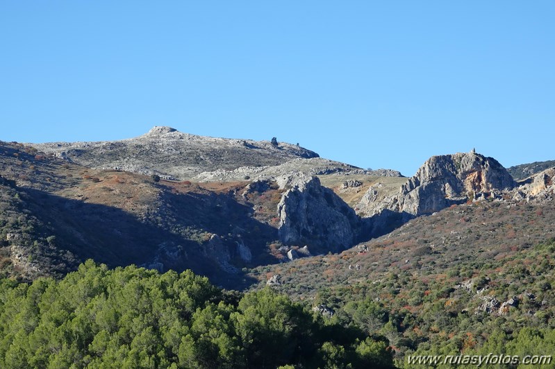 Cornicabral del Valle de Lifa