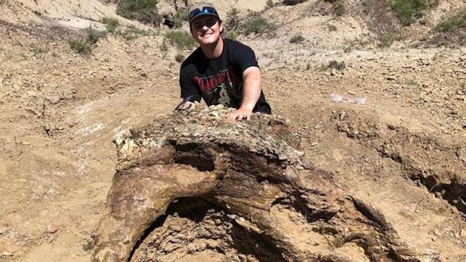 Mahasiswa Amerika menemukan Fosil Dinosaurus berusia 65 Juta Tahun 