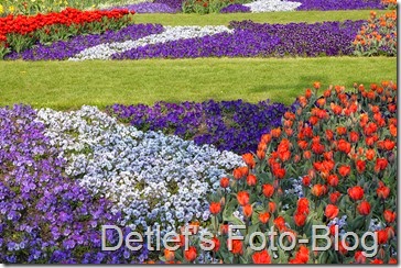 fruehling3