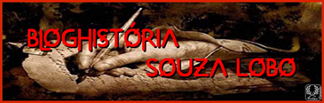 BlogHistória Souza Lobo