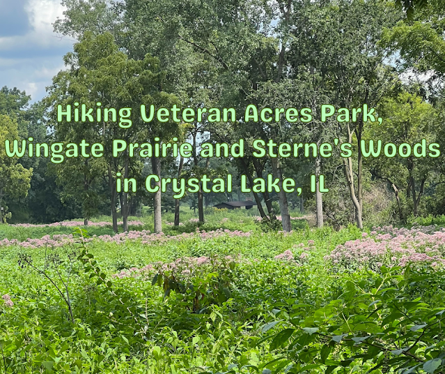 Hiking Veteran Acres Park, Wingate Prairie and Sterne's Woods in Crystal Lake, IL