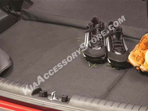 http://www.kiaaccessorystore.com/2014_kia_soul_cargo_liner.html