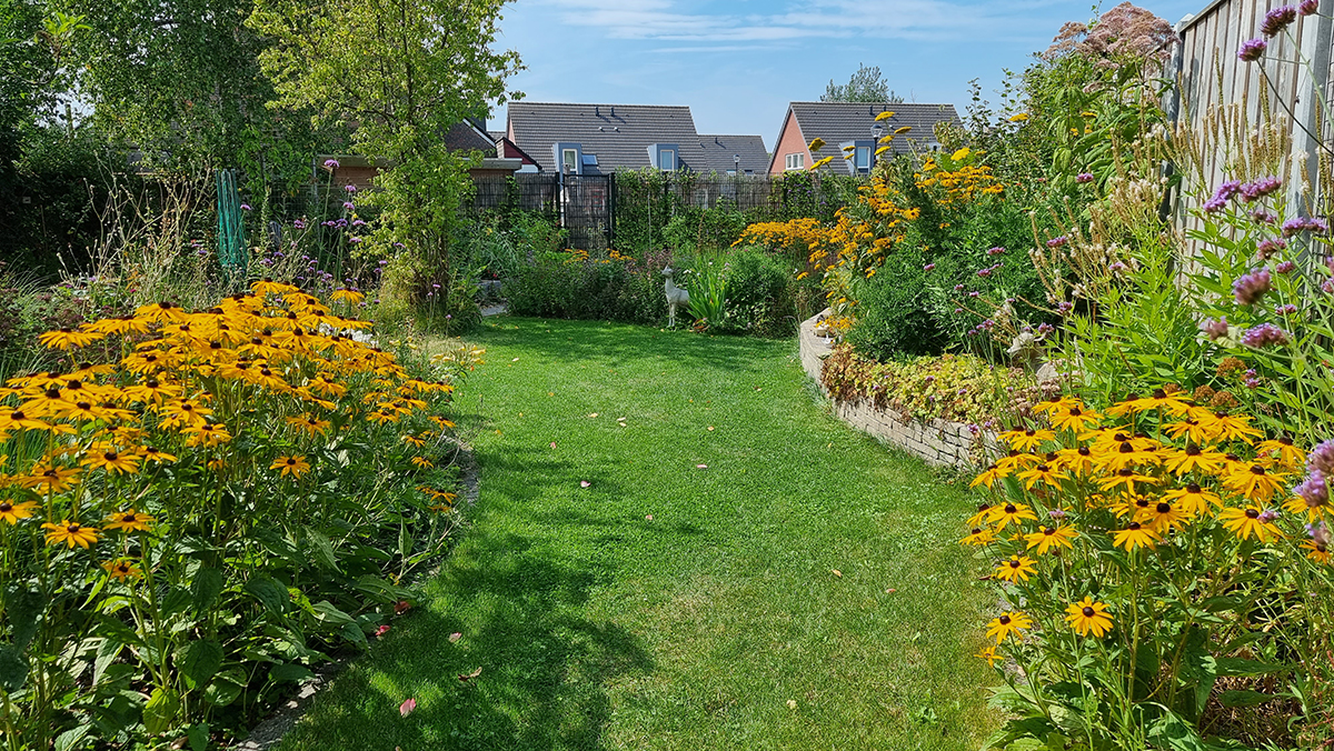 Foto van mijn fleurige natuurtuin achter huis.