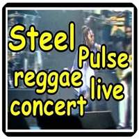 Steel Pulse - reggae live concert