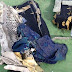 PHOTO~NEWS: Images Of Wreckage Released In Egyptair Probe
