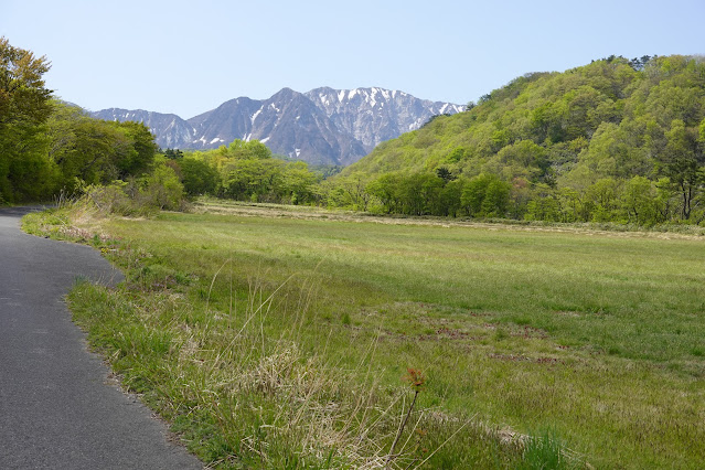 鳥取県西伯郡大山町松河原 牧草地の風景