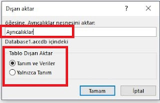 access menüleri