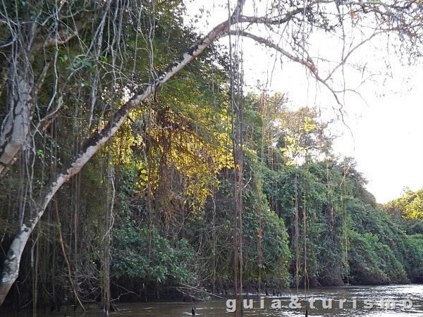 Passeio pelo Rio Cuiabá