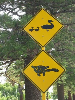 funny signs around world. funny signs around the world.