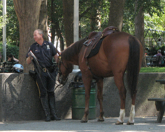 NYPD horse at rest, Washington Square Park, Greenwich Village, Lower Manhattan, New York